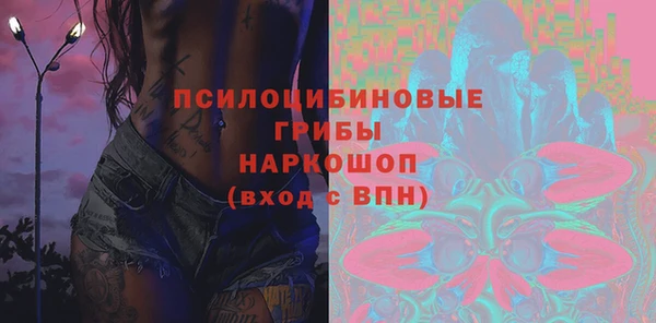 гашик Горняк