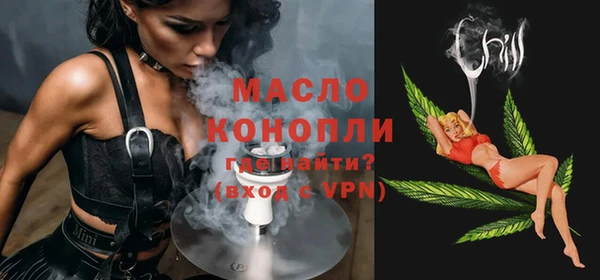 гашик Горняк