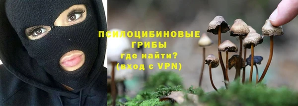 первитин Горнозаводск