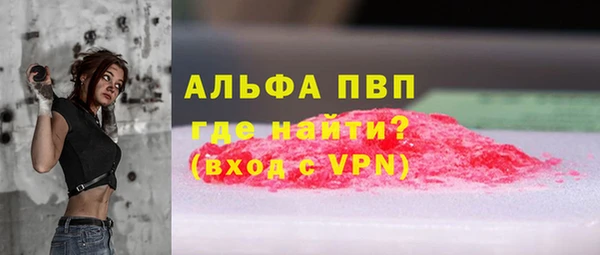 гашик Горняк