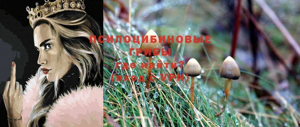 гашик Горняк