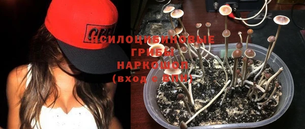 гашик Горняк