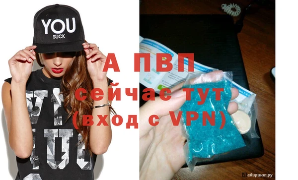 гашик Горняк